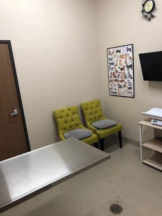 Anchor Animal Hospital Picture 9