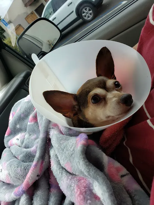 Anchor Animal Hospital Picture 6