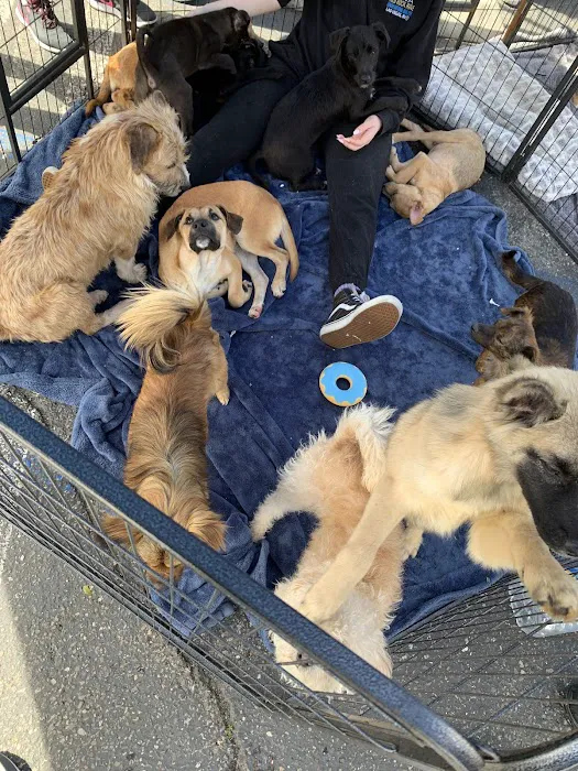 Anchor Animal Hospital Picture 7