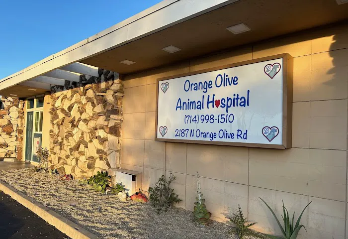 Orange-Olive Animal Hospital Picture 2