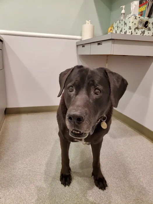Orange-Olive Animal Hospital Picture 7