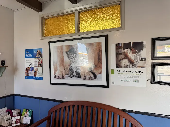 Affordable Animal Hospital of Orange Picture 4