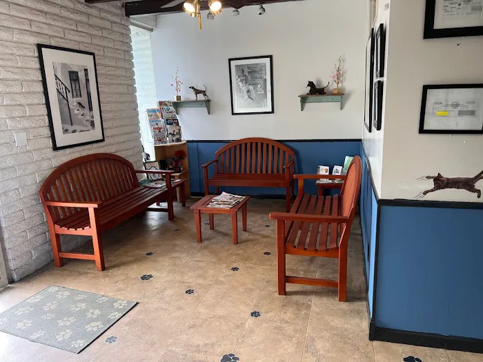 Affordable Animal Hospital of Orange Picture 10