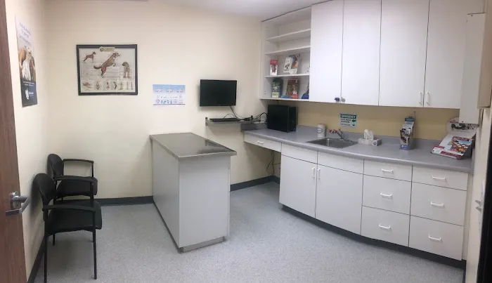 Animal Medical Center of Orange Picture 6
