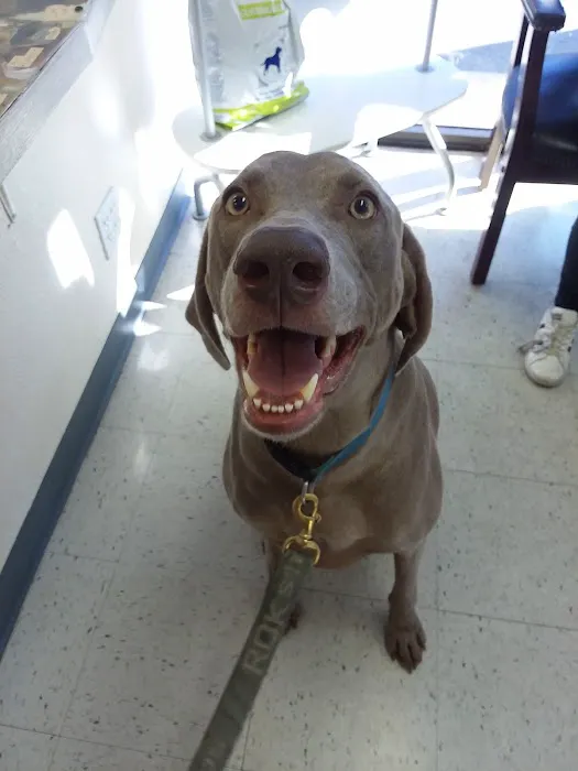 Animal Medical Center of Orange Picture 5