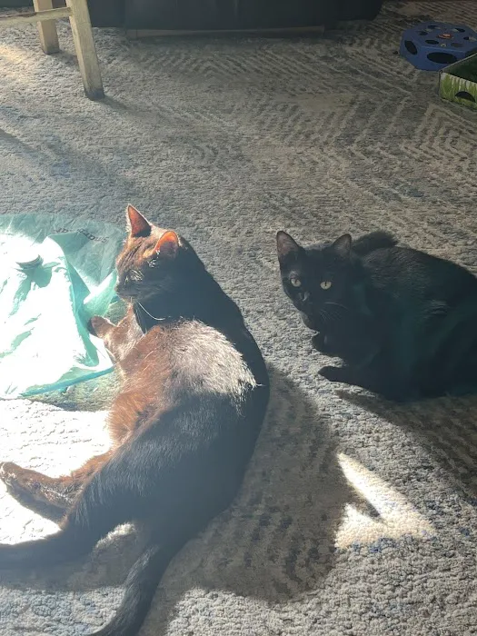 Orange Pet Clinic Picture 1