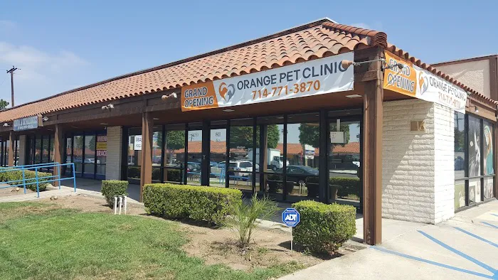Orange Pet Clinic Picture 9