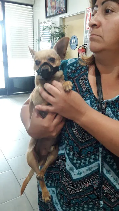 Veterinary Out-Patient Clinic Picture 9