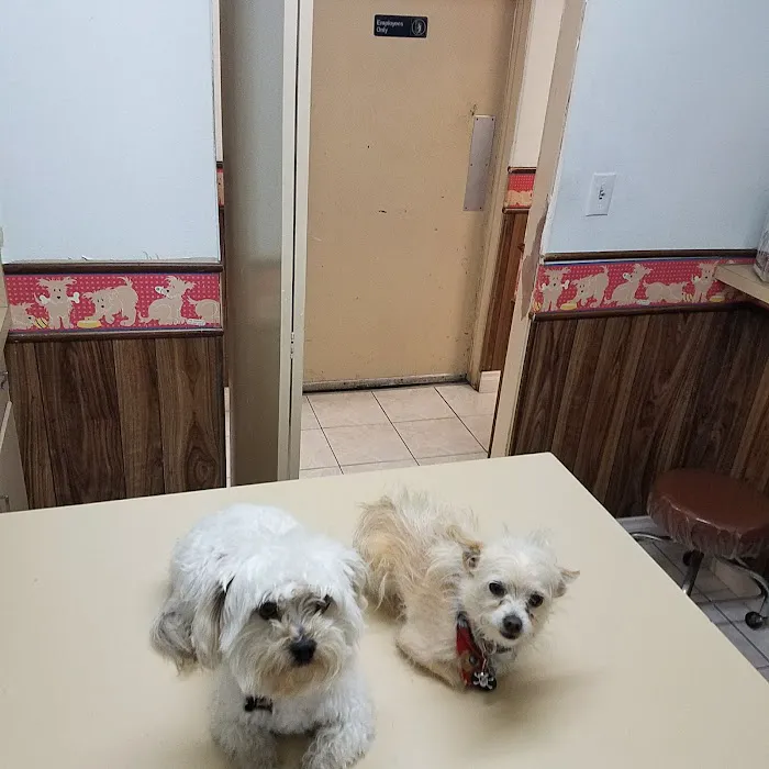 Orange-Tustin Animal Hospital Picture 4