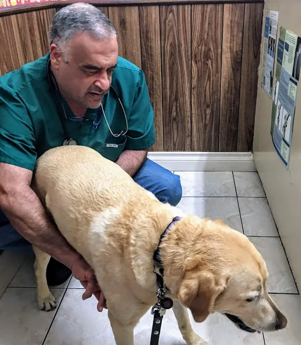 Orange-Tustin Animal Hospital Picture 1
