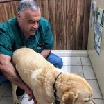 Orange-Tustin Animal Hospital