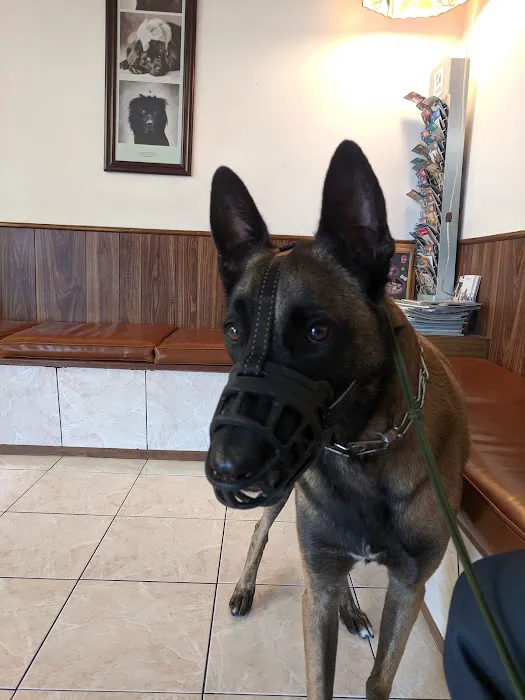 Orange-Tustin Animal Hospital Picture 10
