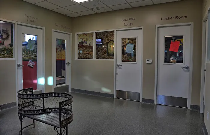 VCA Yorba Regional Animal Hospital Picture 5