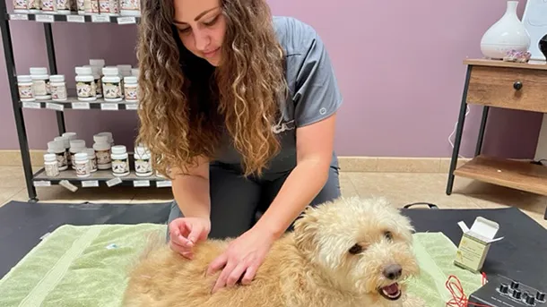 VCA Yorba Regional Animal Hospital Picture 10