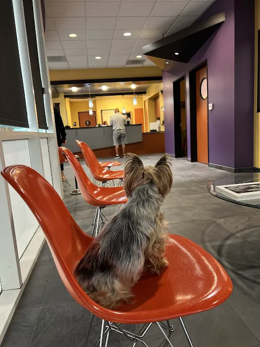 Greek and Associates Veterinary Hospital Picture 4