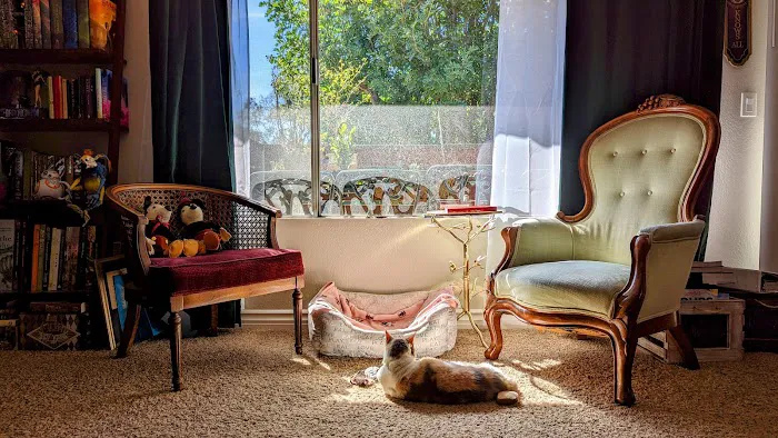 Greek and Associates Veterinary Hospital Picture 5