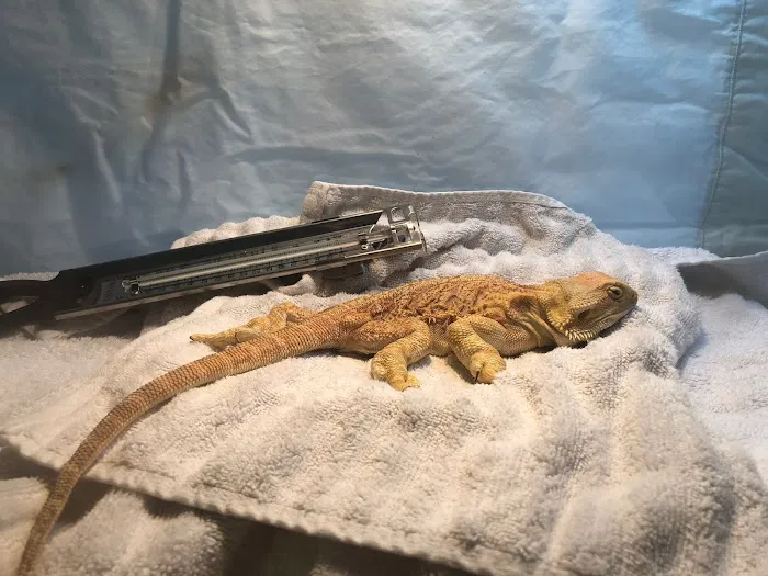 Greek and Associates Veterinary Hospital Picture 9