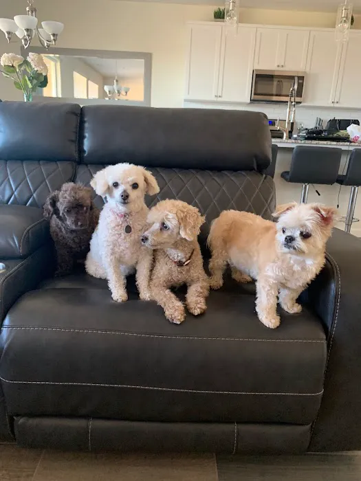 Sunrise Pet Hospital Picture 1