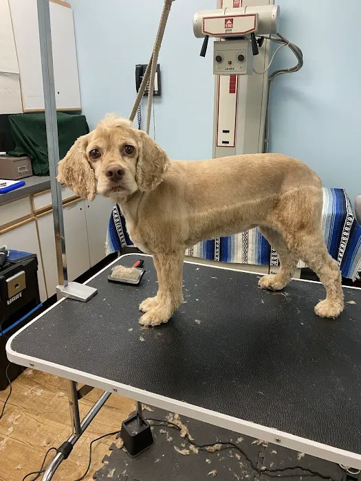 Anaheim Canyon Animal Hospital Picture 10