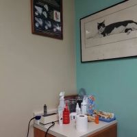 Brookhurst Animal Medical Center ico