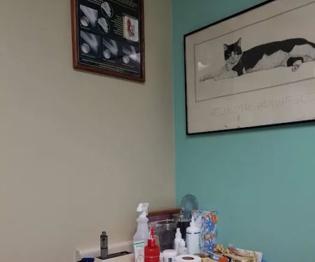 Brookhurst Animal Medical Center