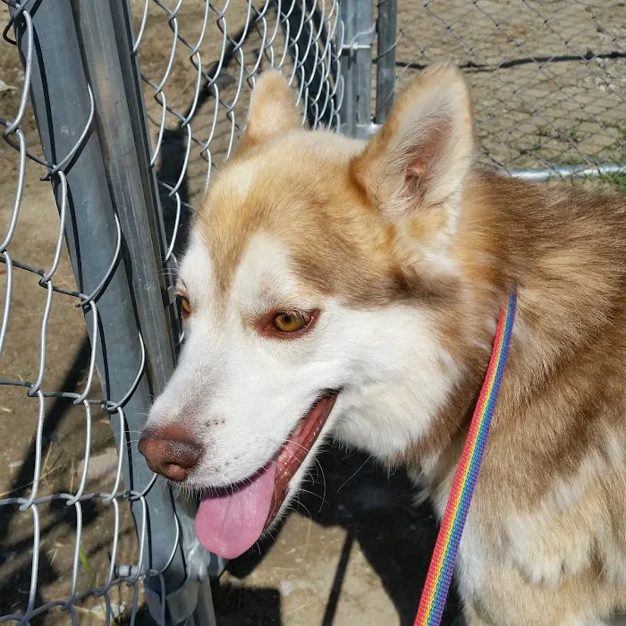 Katella Animal Clinic Picture 6