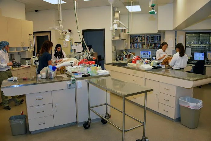 VCA Orange Animal Hospital Picture 5