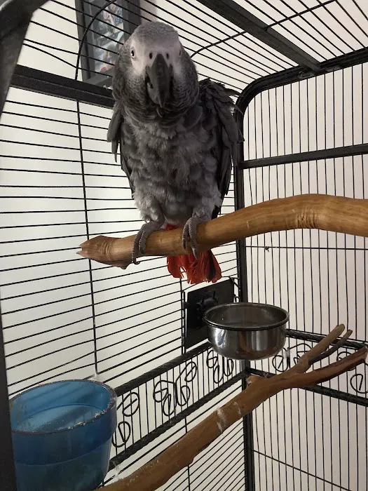 Bird Clinic Picture 10