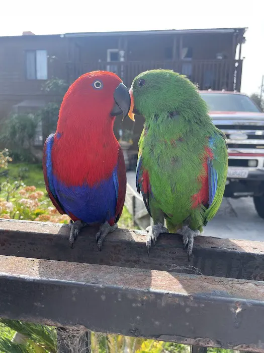 Bird Clinic Picture 9