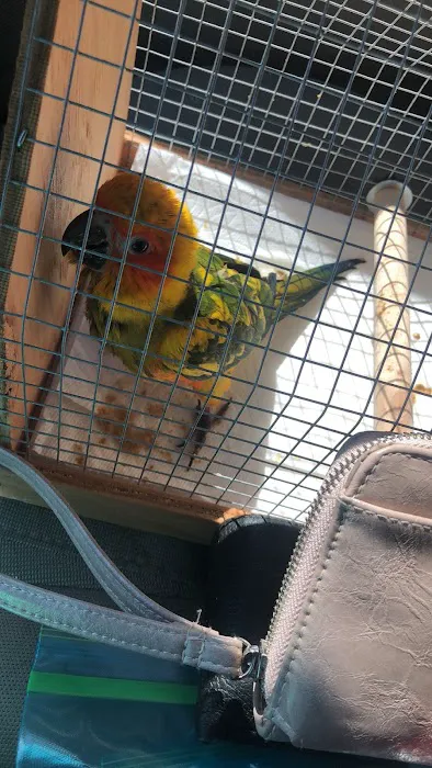 Bird Clinic Picture 7