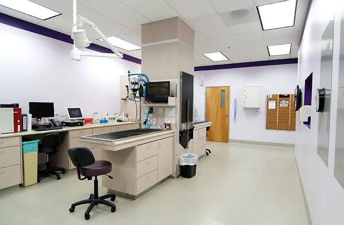 OC Veterinary Medical Center Picture 3