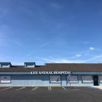 Lee Animal Hospital of Orange County: Walk-Ins Welcome ico