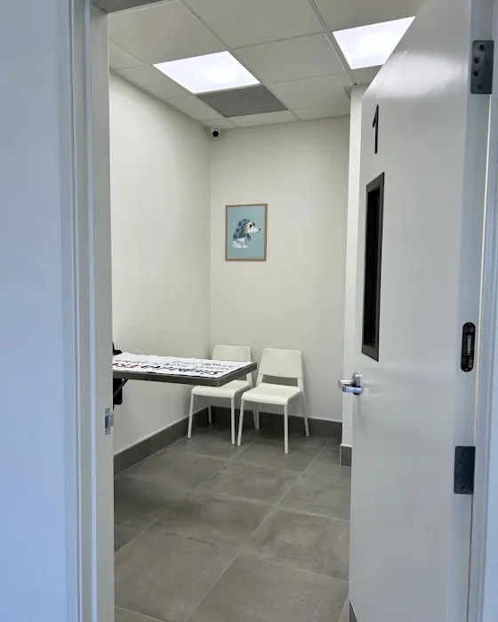 Lee Animal Hospital of Orange County: Walk-Ins Welcome Picture 6