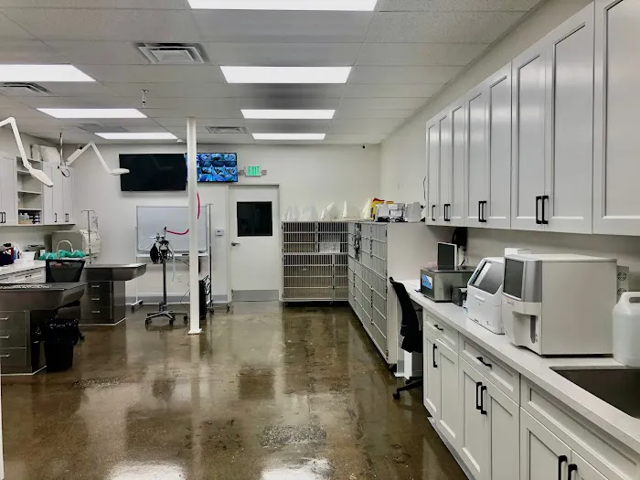 Lee Animal Hospital of Orange County: Walk-Ins Welcome Picture 4