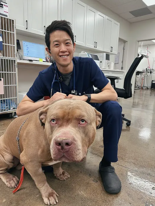 Lee Animal Hospital of Orange County: Walk-Ins Welcome Picture 5