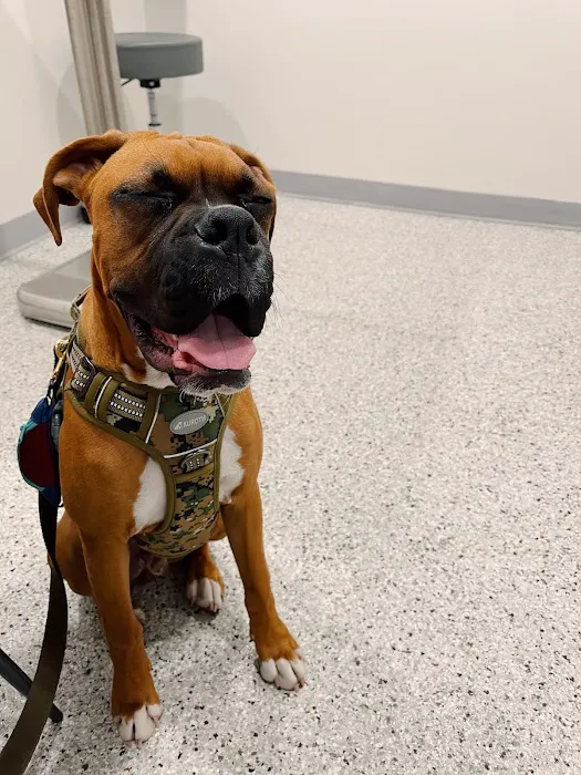 East Chapman Veterinary Center Picture 9