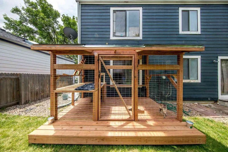 How to Build a 'Catio' (Cat Patio) for Safe Outdoor Time