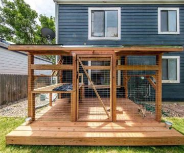 How to Build a 'Catio' (Cat Patio) for Safe Outdoor Time