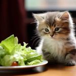 The Science of a Kitten's Digestive System: How It Works and What You Need to Know