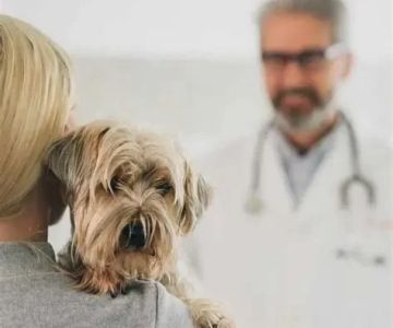 The Truth About Heartworm Disease: Prevention is Cheaper Than Cure
