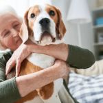 The Benefits of Adopting a Senior Pet vs. a Puppy or Kitten – Why Older Pets Make Great Companions