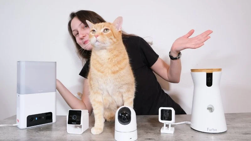 The Best Pet Camera to Talk to Your Kitten Remotely