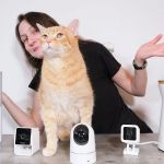 The Best Pet Camera to Talk to Your Kitten Remotely