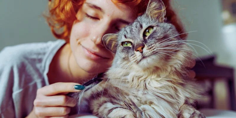 Why Do Cats Have a Favorite Person? How They Choose