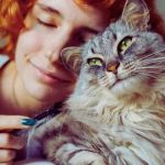 Why Do Cats Have a Favorite Person? How They Choose