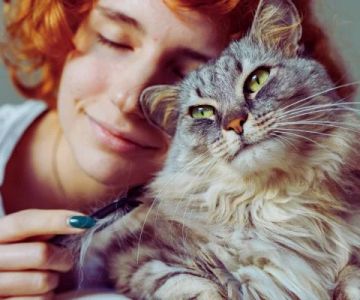 Why Do Cats Have a Favorite Person? How They Choose