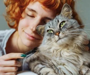 Why Does My Kitten Have a Bump on Their Head? Causes and Solutions