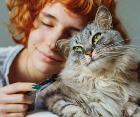 Why Does My Kitten Have a Bump on Their Head? Causes and Solutions