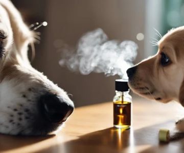 The Truth About Essential Oils and Pets: Which Ones Are Dangerous?