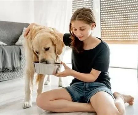 The Best Time of Day to Feed Your Dog: Morning vs. Evening